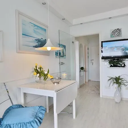 Carpe Diem Carpe Diem 151