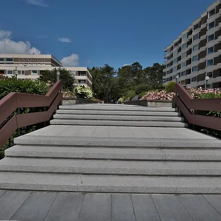 Carpe Diem Carpe Diem 151 *